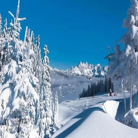Vogue In Near Lift