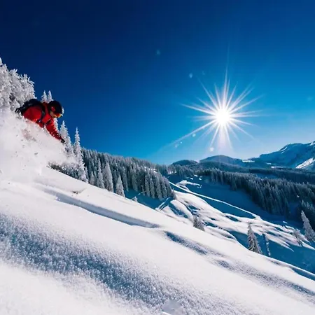 Appartamento Vogue In Near Lift