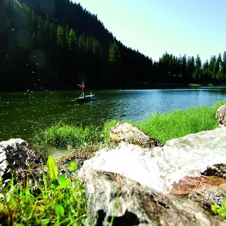 Apartment Vogue In Near Lift *